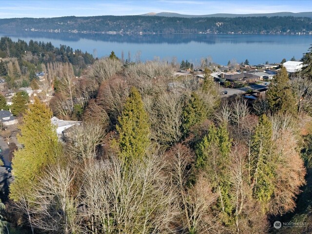 8415 Inverness Dr NE, Seattle, WA 98115 - photo 9