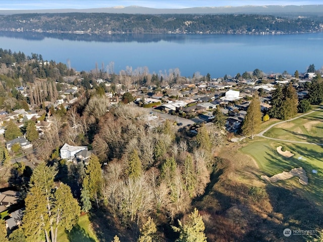 8415 Inverness Dr NE, Seattle, WA 98115 - photo 4