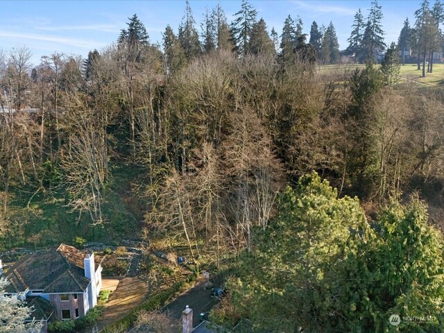 8415 Inverness Dr NE, Seattle, WA 98115 - photo 15