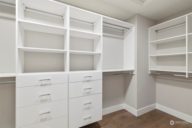 spacious closet with dark hardwood / wood-style flooring