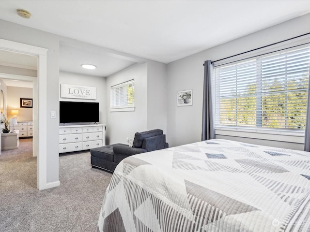 bedroom featuring carpet floors