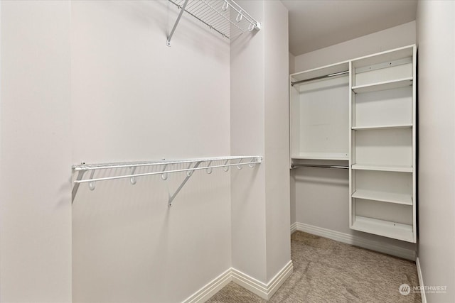 spacious closet with carpet floors