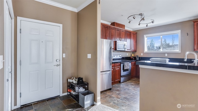 kitchen with stainless steel appliances and crown molding