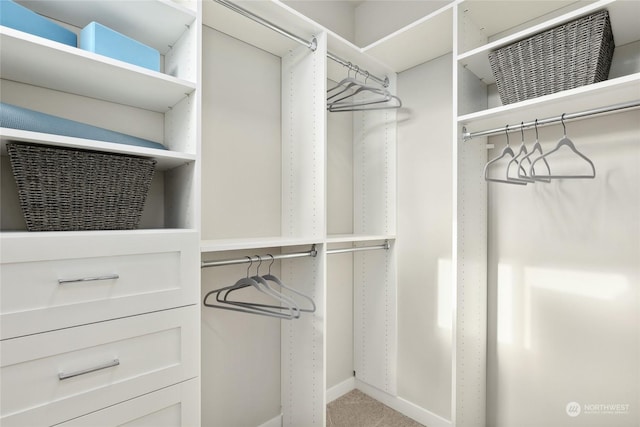 spacious closet featuring carpet