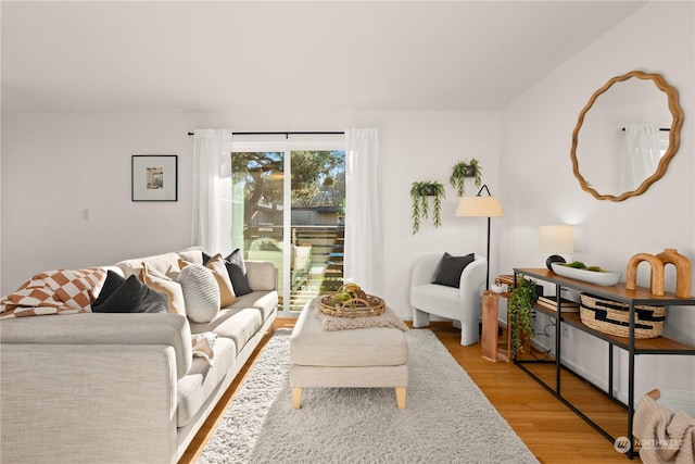 living room featuring light hardwood / wood-style floors