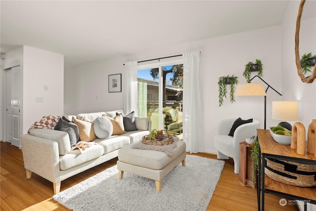 living room featuring light hardwood / wood-style floors