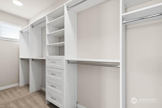 spacious closet featuring light colored carpet