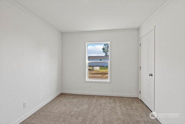 spare room with light carpet and ornamental molding