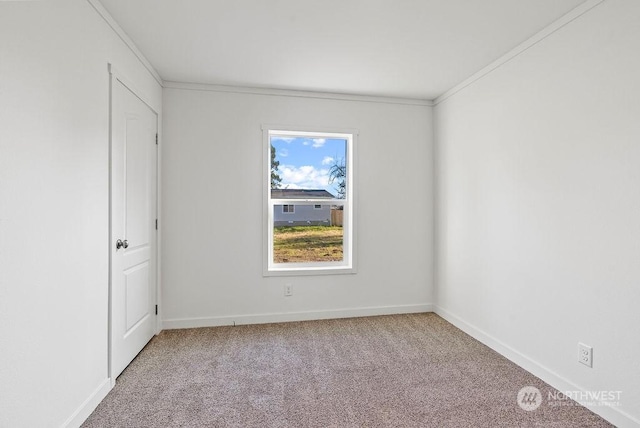 unfurnished room featuring light carpet and crown molding