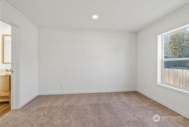 unfurnished room with ornamental molding and light carpet