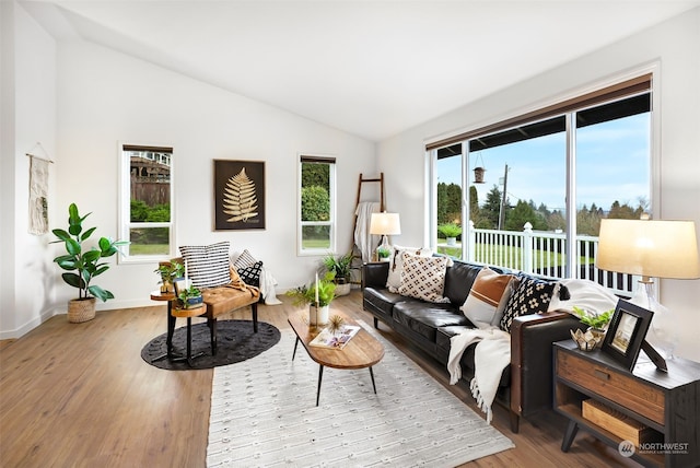 living room with lofted ceiling, wood-type flooring, and a wealth of natural light