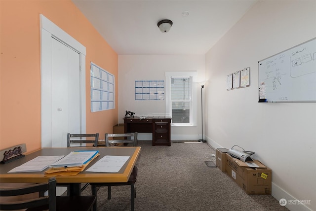 dining room featuring carpet