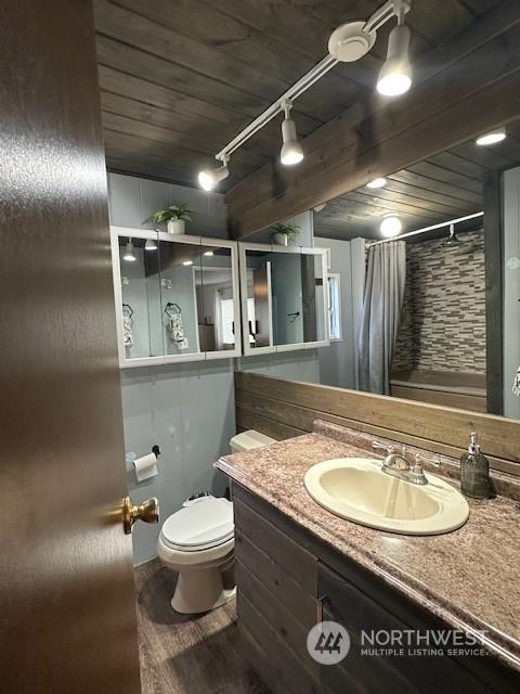 bathroom featuring a shower with curtain, vanity, toilet, and wood-type flooring