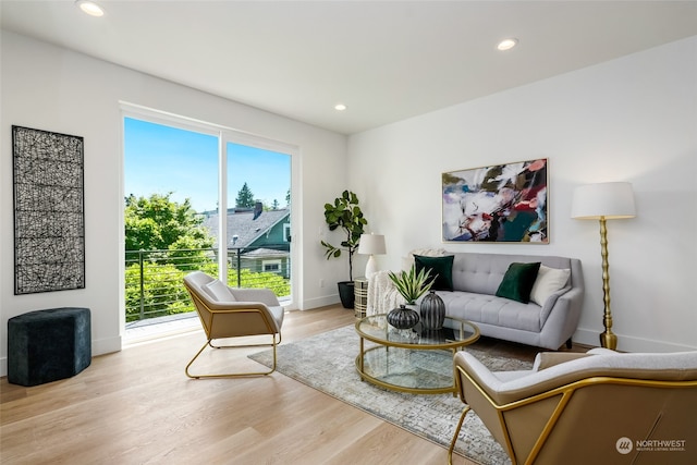 living room featuring light hardwood / wood-style flooring