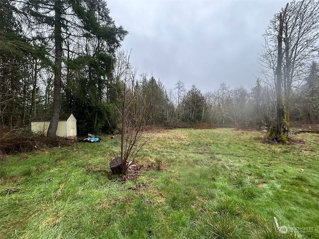 view of yard featuring a storage shed