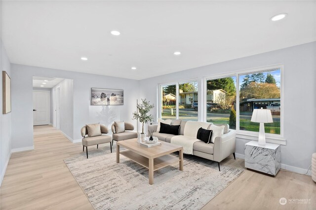 living room featuring light wood-type flooring