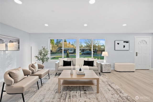 living room with a healthy amount of sunlight and light hardwood / wood-style floors