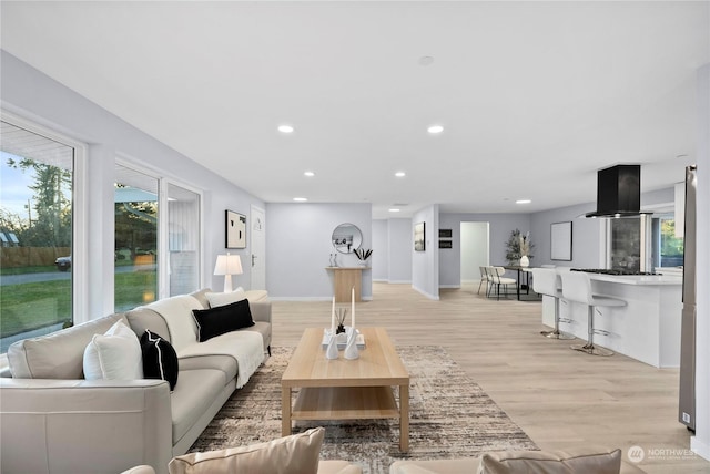 living room with light hardwood / wood-style floors and a healthy amount of sunlight