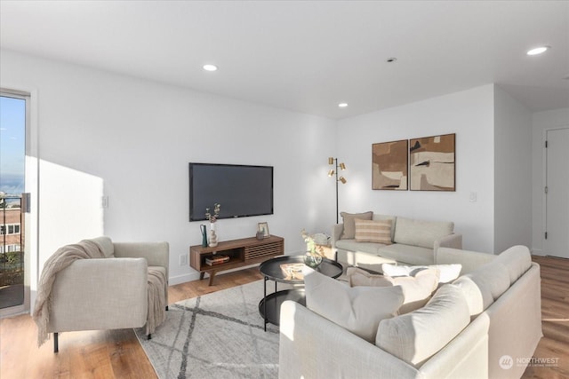 living room with light wood-type flooring