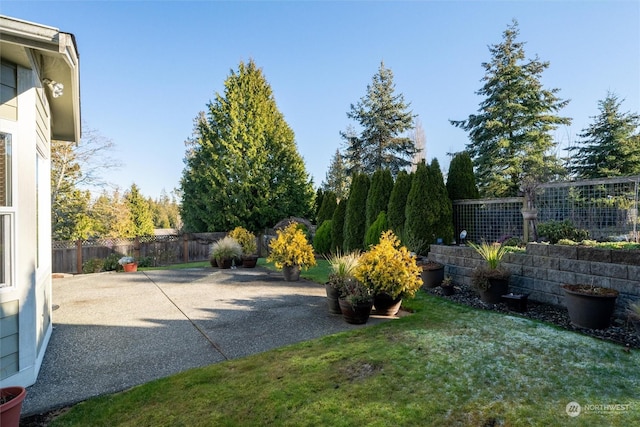 view of yard featuring a patio