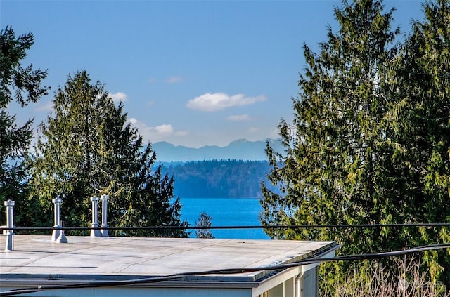 property view of water featuring a mountain view