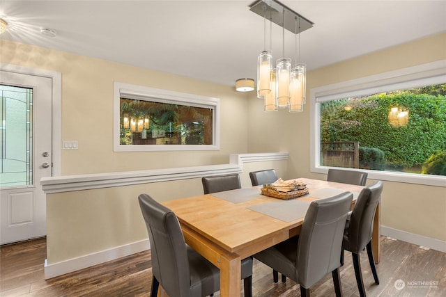 dining room featuring dark hardwood / wood-style flooring