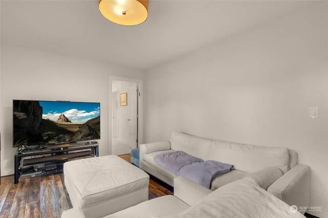 living room with dark hardwood / wood-style flooring