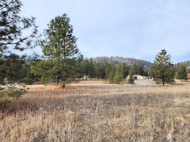 view of landscape featuring a rural view