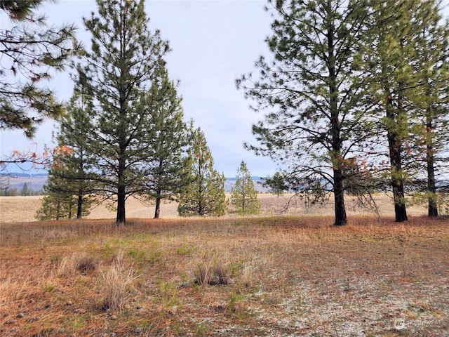 view of landscape with a rural view