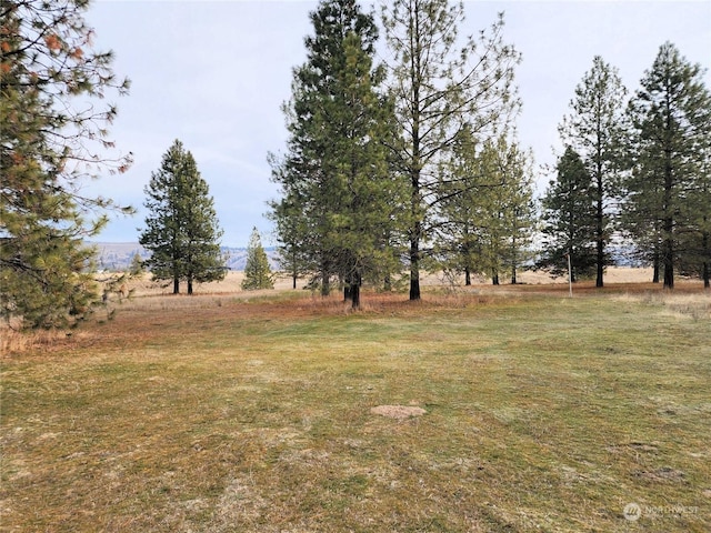 view of yard with a rural view