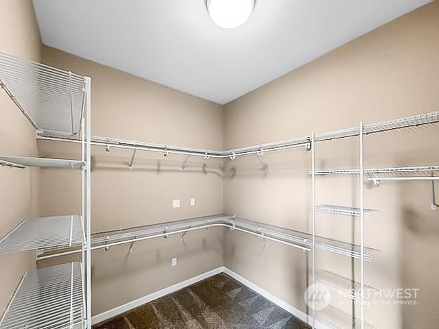 spacious closet featuring carpet floors