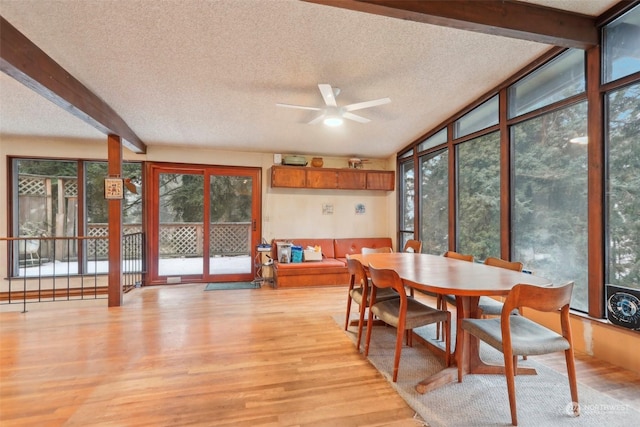 sunroom featuring ceiling fan and beam ceiling