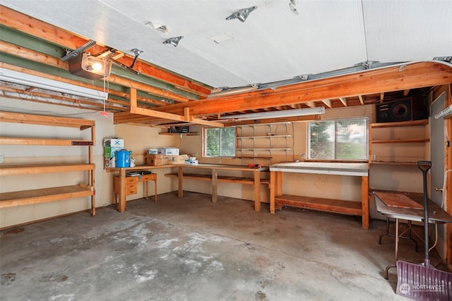 basement featuring a workshop area and a healthy amount of sunlight