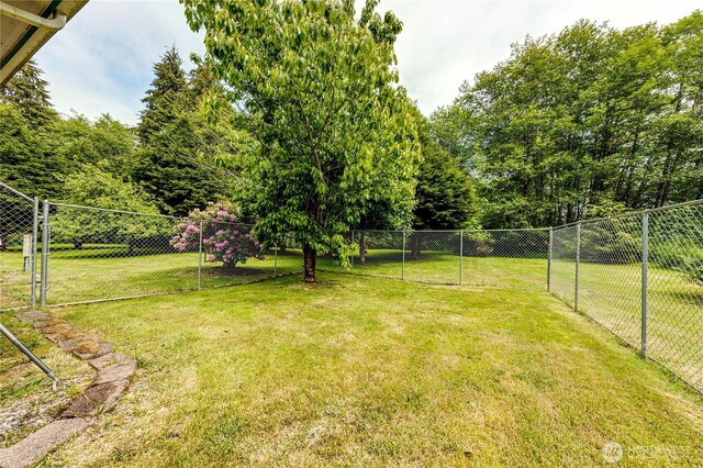 506 Richwine Rd, Forks, WA 98331 - photo 22