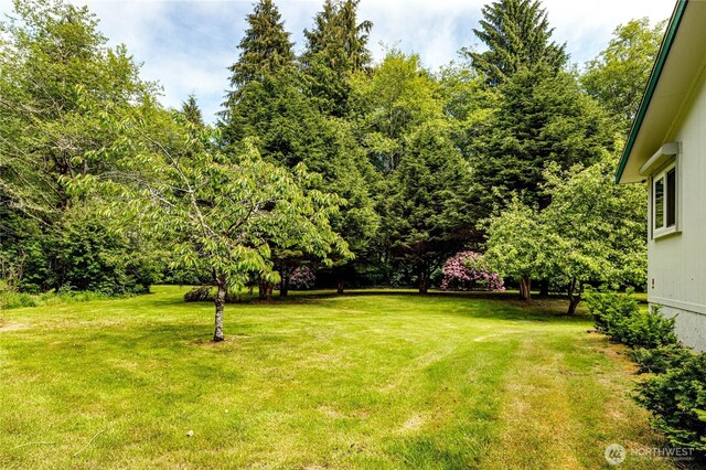 506 Richwine Rd, Forks, WA 98331 - photo 24