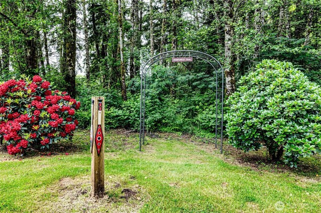 506 Richwine Rd, Forks, WA 98331 - photo 28