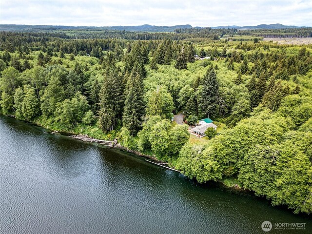 506 Richwine Rd, Forks, WA 98331 - photo 38