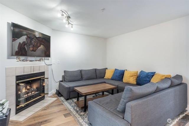 living room with a fireplace and light hardwood / wood-style flooring