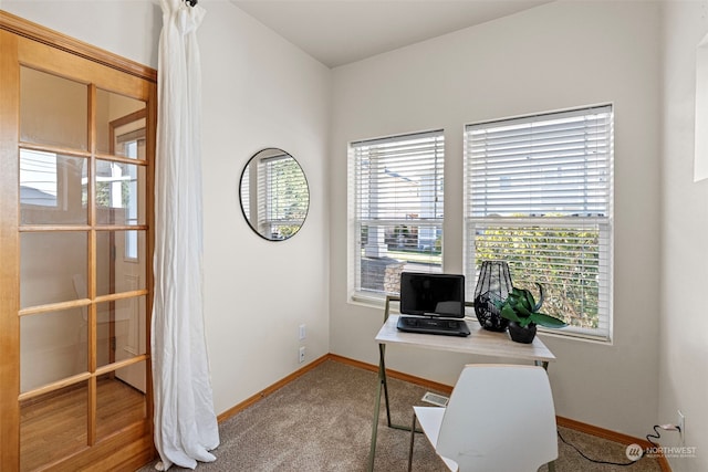 office space featuring a healthy amount of sunlight and carpet flooring