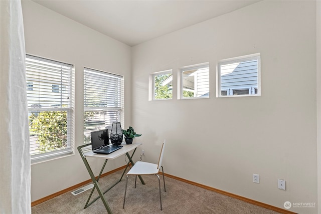 office with carpet floors