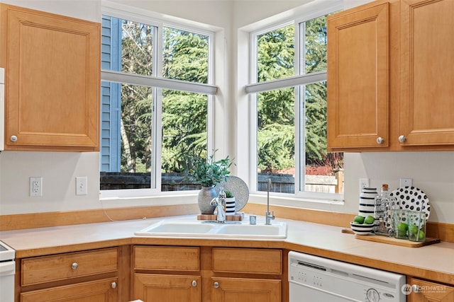 kitchen featuring dishwasher and sink