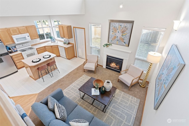 living room featuring plenty of natural light, sink, and light colored carpet