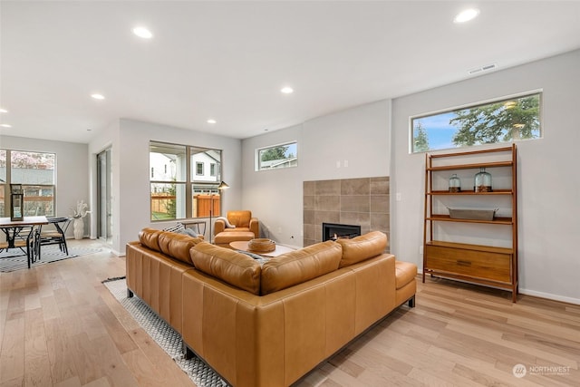 living room with a fireplace and light hardwood / wood-style flooring