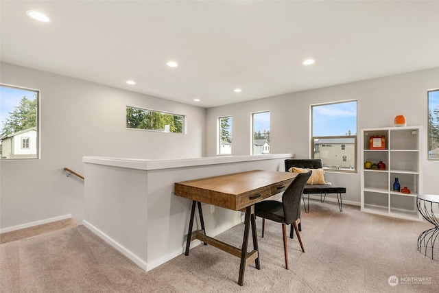 dining room featuring light carpet