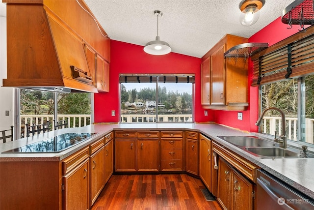 kitchen with sink, black electric cooktop, dark hardwood / wood-style flooring, dishwasher, and custom range hood