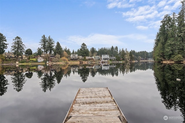 dock area with a water view