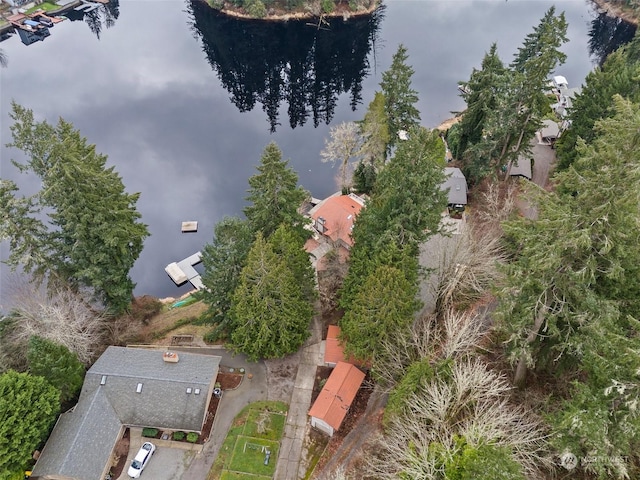 bird's eye view with a water view