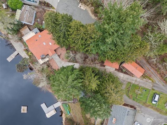 aerial view with a water view