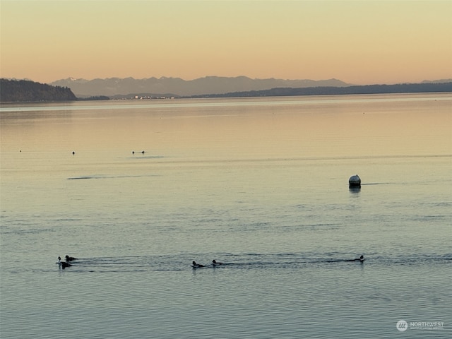 property view of water with a mountain view