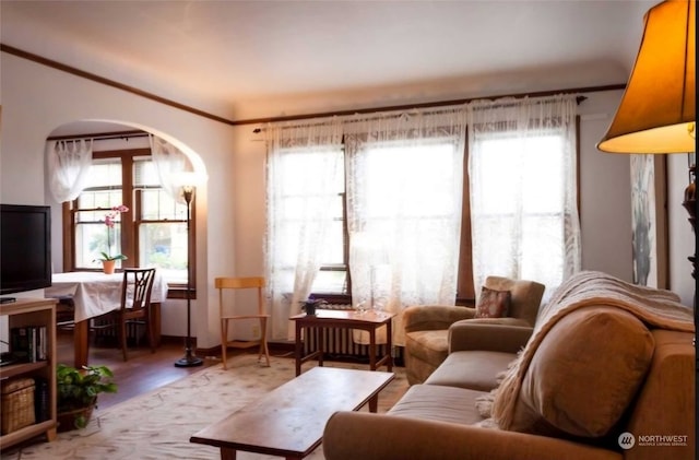 living room featuring crown molding and wood-type flooring